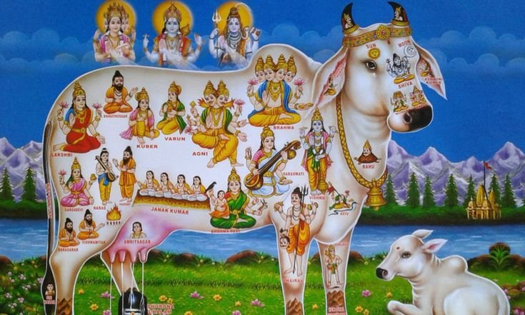Cow Derivatives